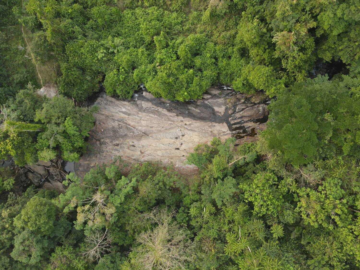 Rock Outcrop in Rainforest Aerial
