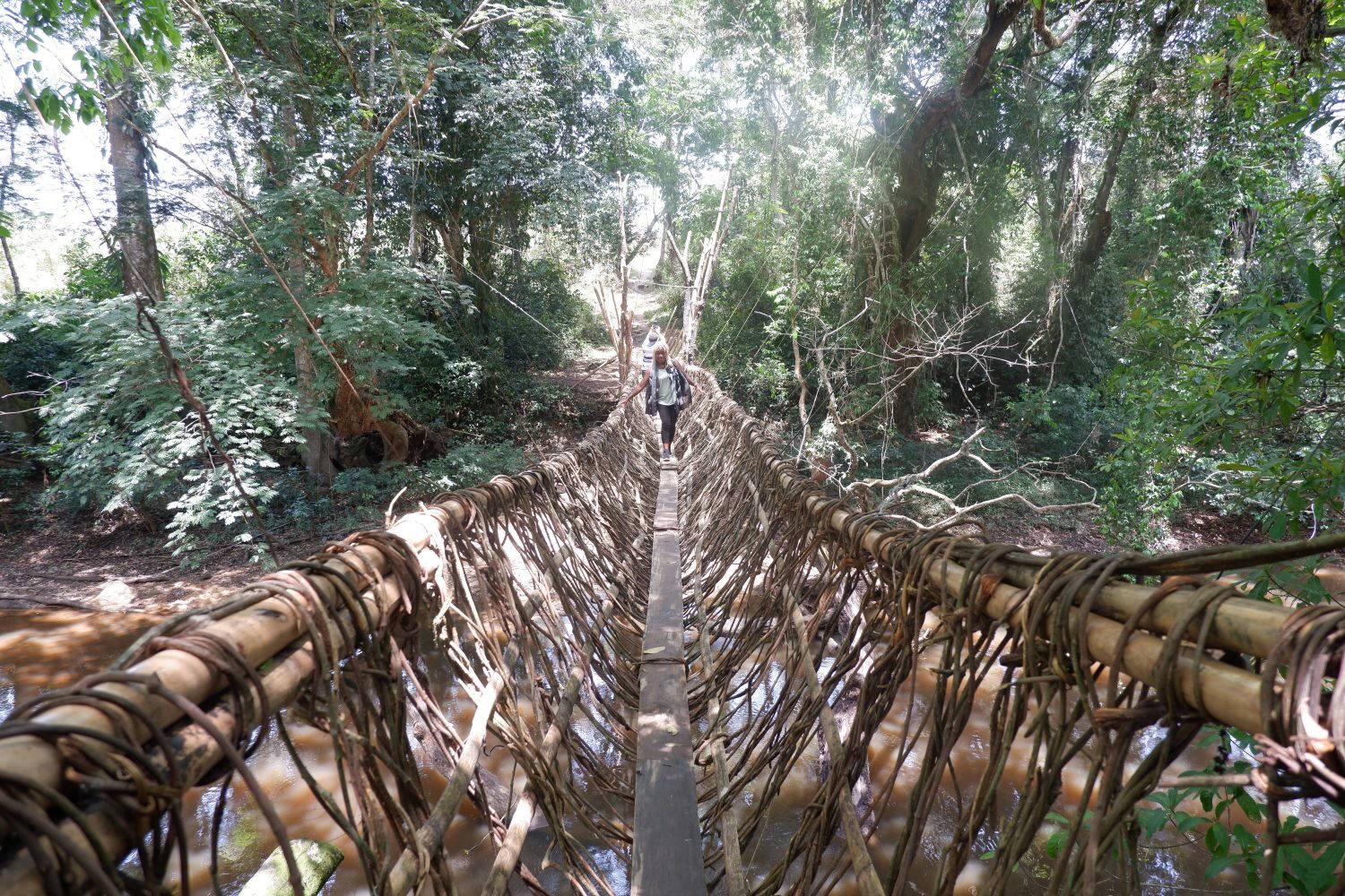 Vine Suspension Bridge