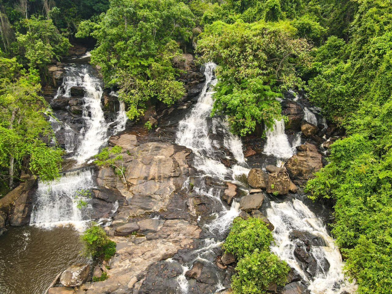 Jungle Waterfall