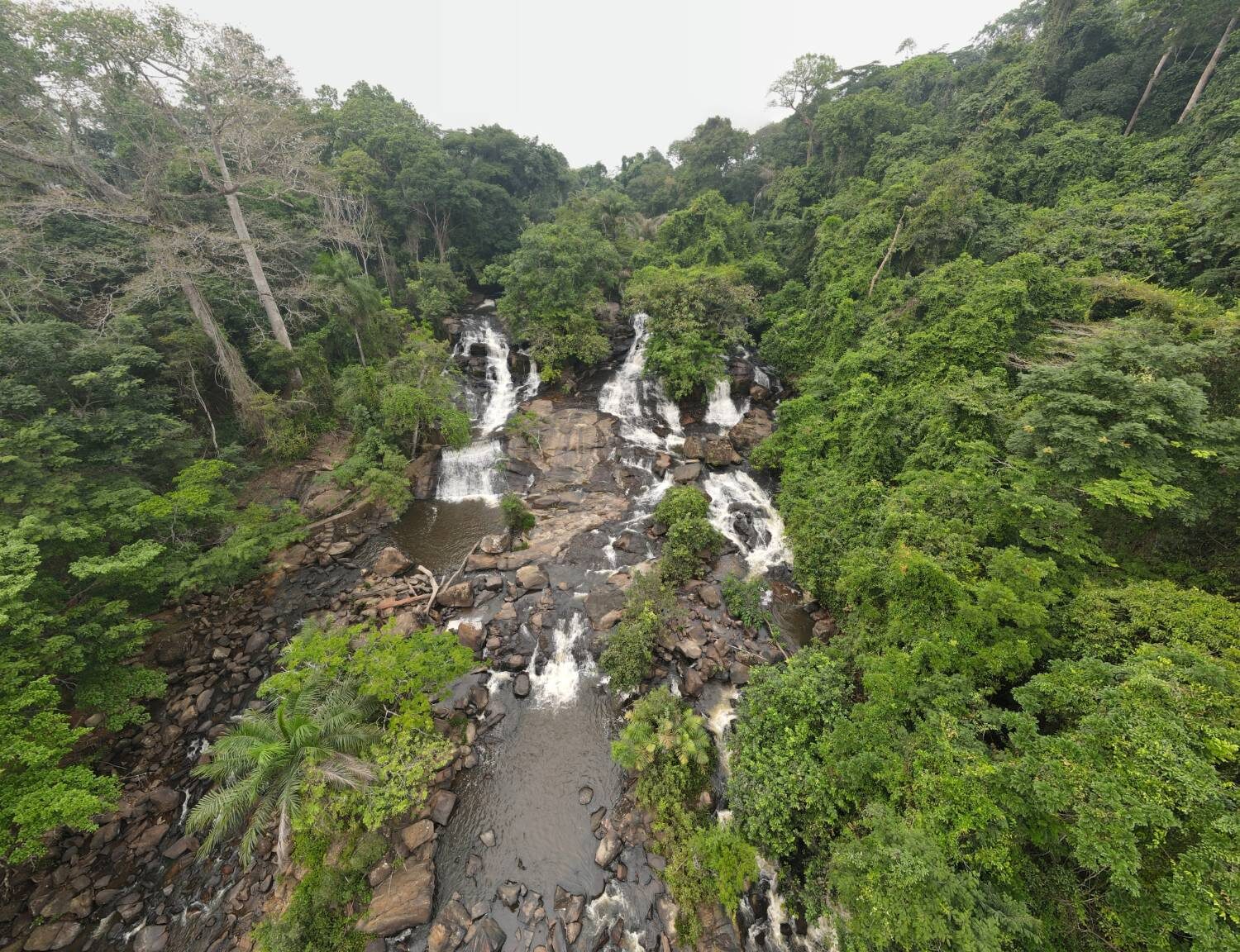 Multi-Stream Waterfall Aerial