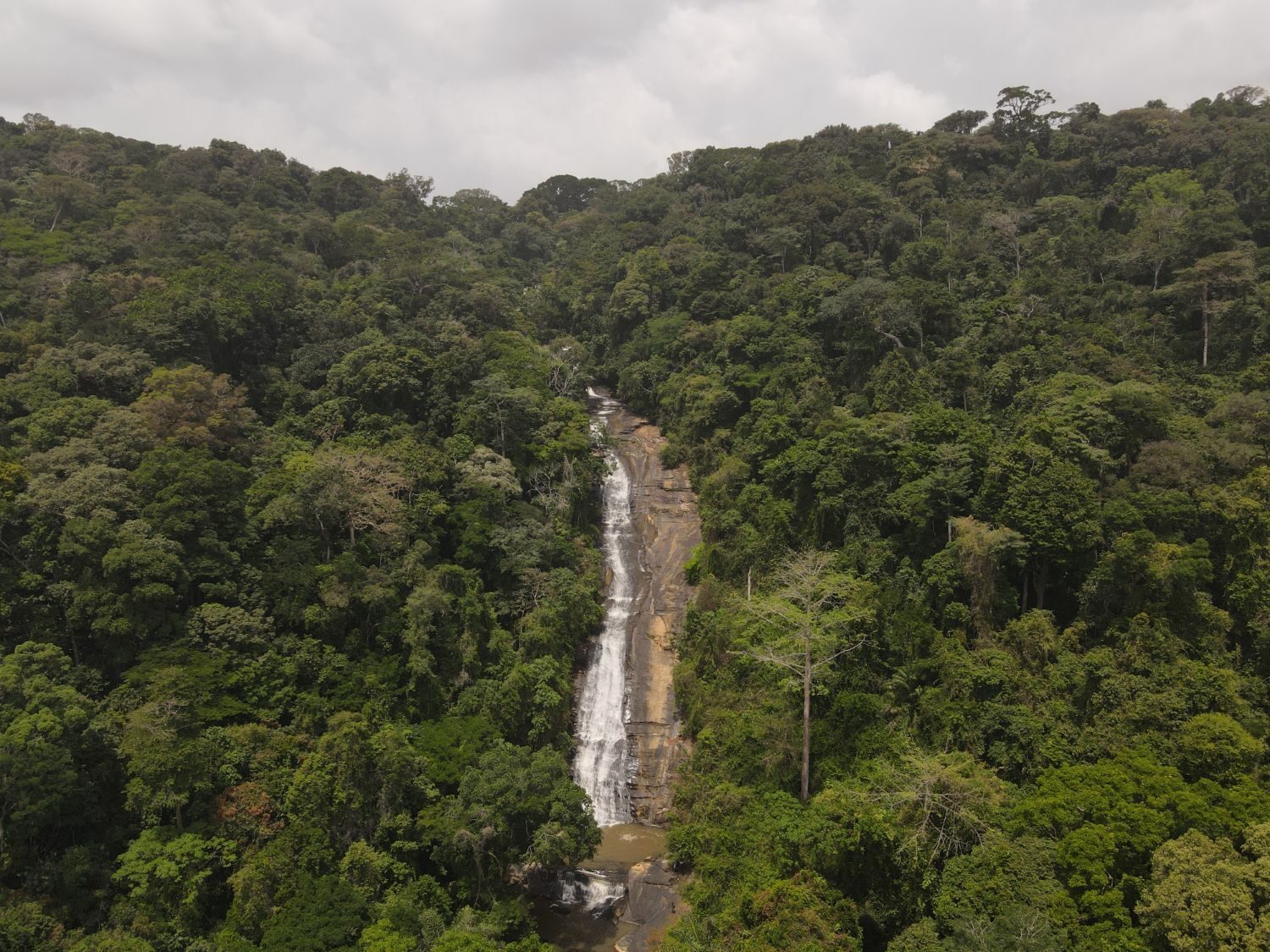 Tall Waterfall Through Jungle Aerial