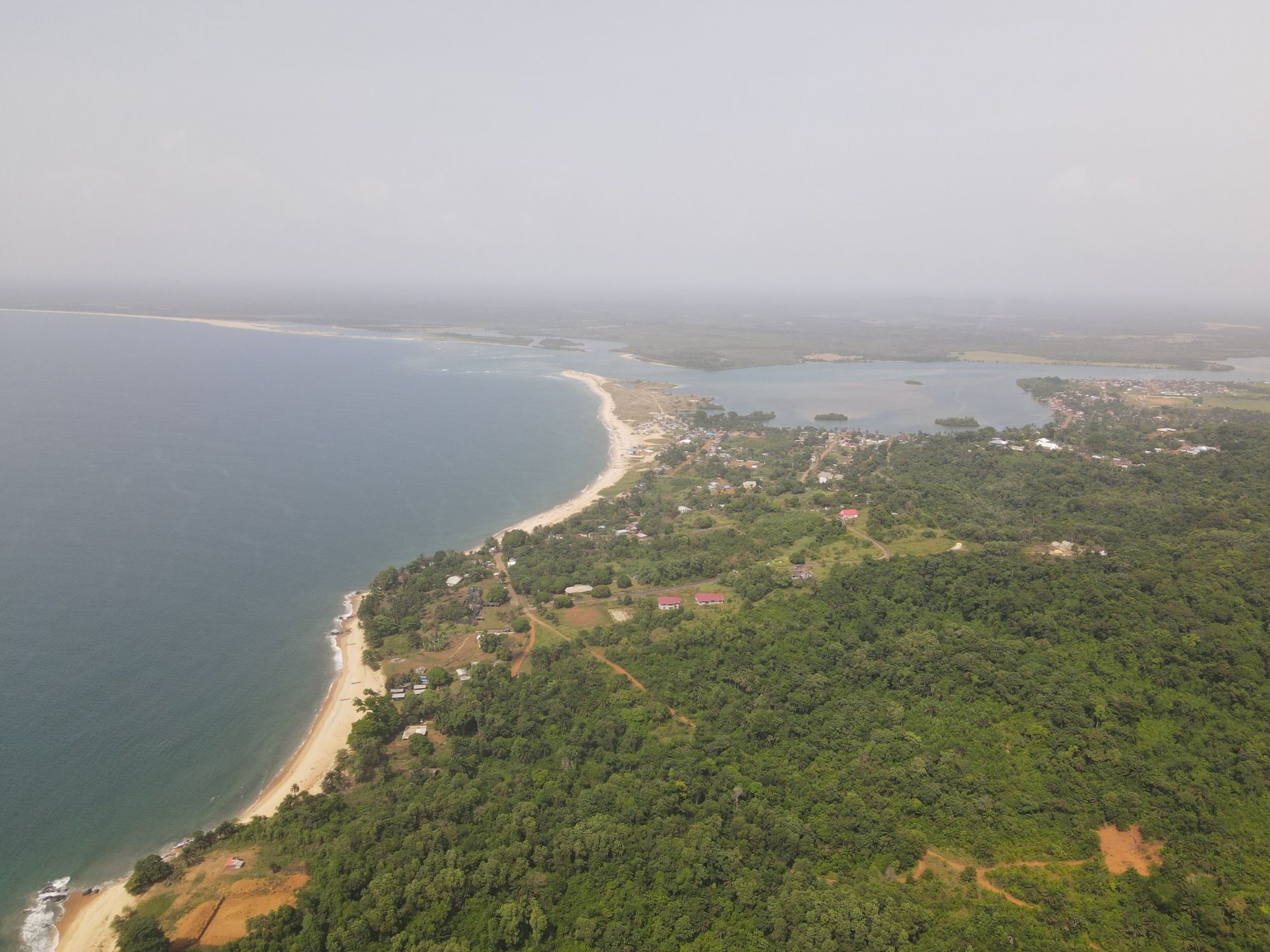 Forested Coastline Aerial