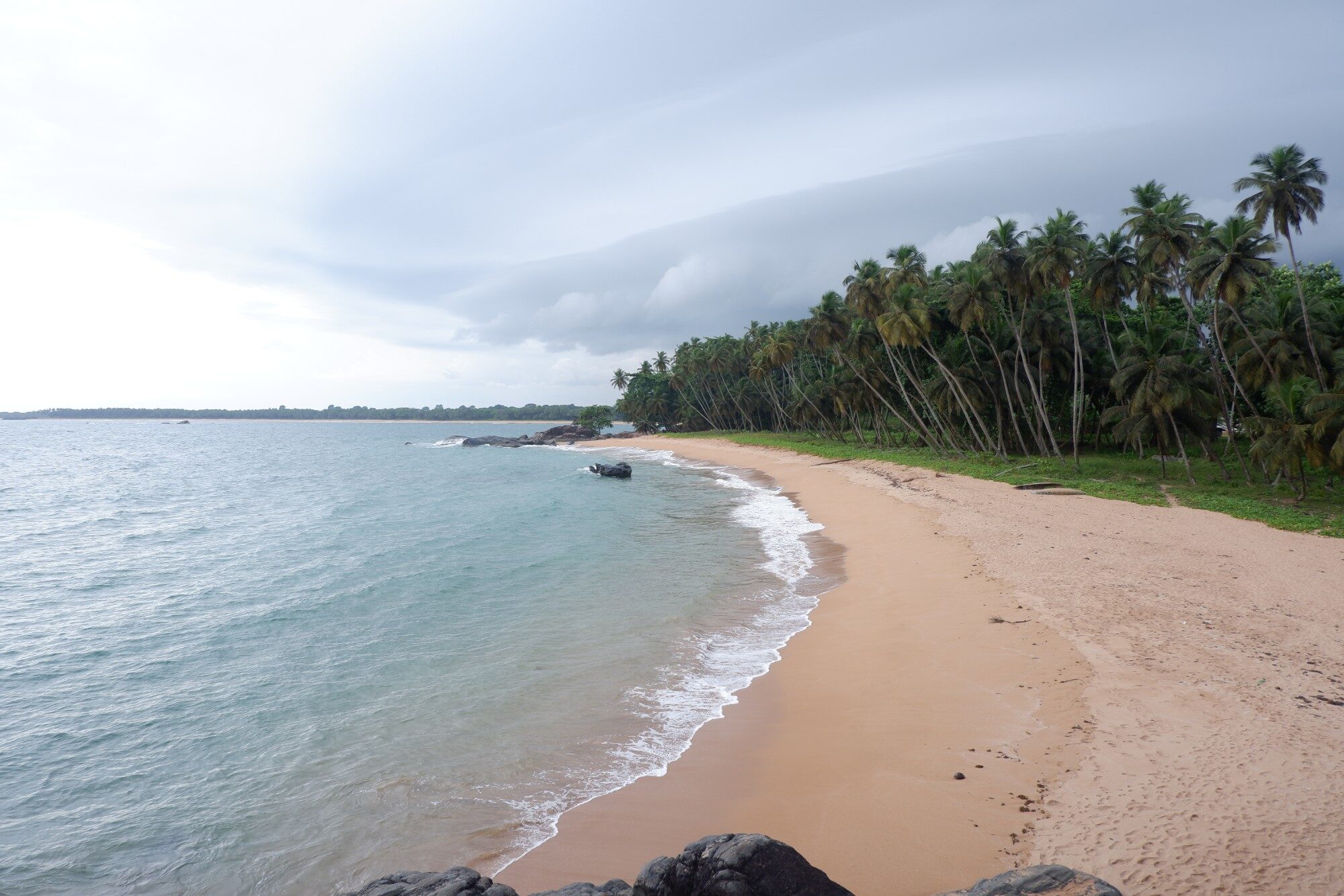 Pristine Beach with Palm Trees