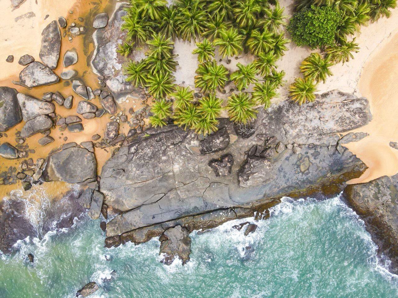 Rocky Beach with Palms Aerial