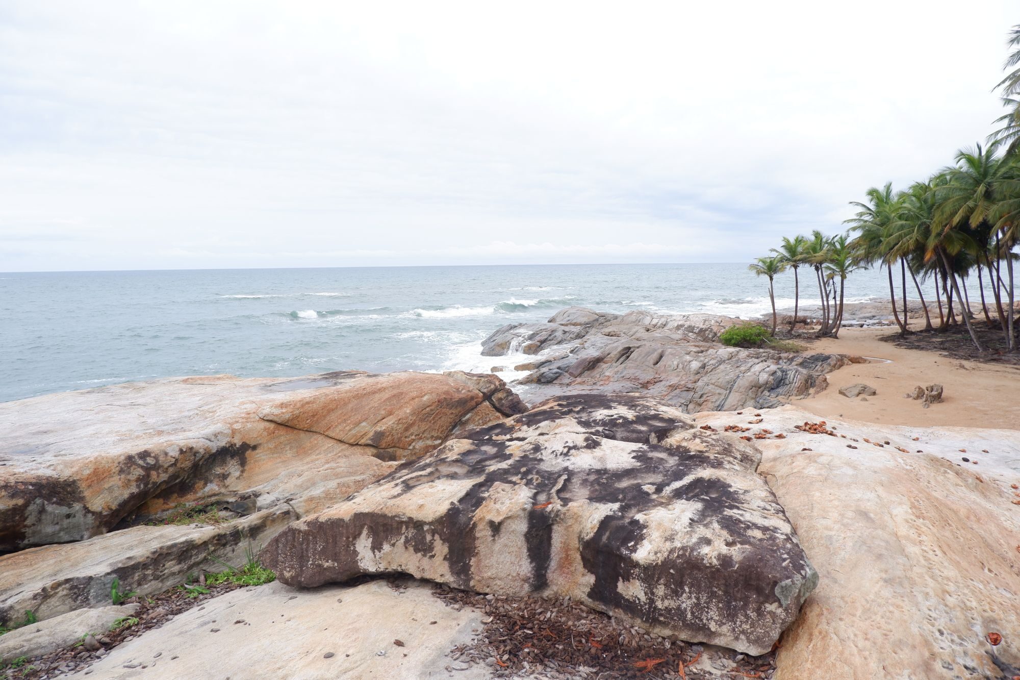 Rocky Coastline with Waves and Palms