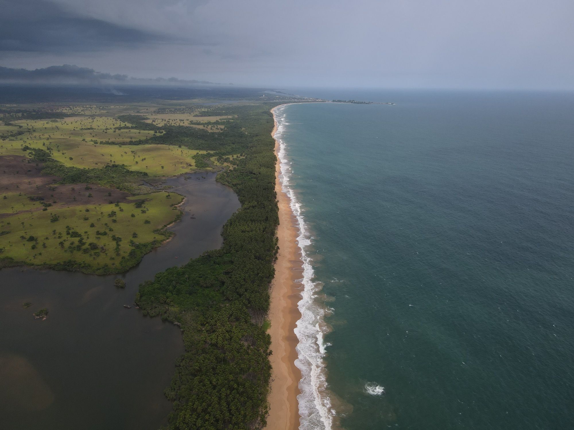 Straight Beach and Forest Aerial