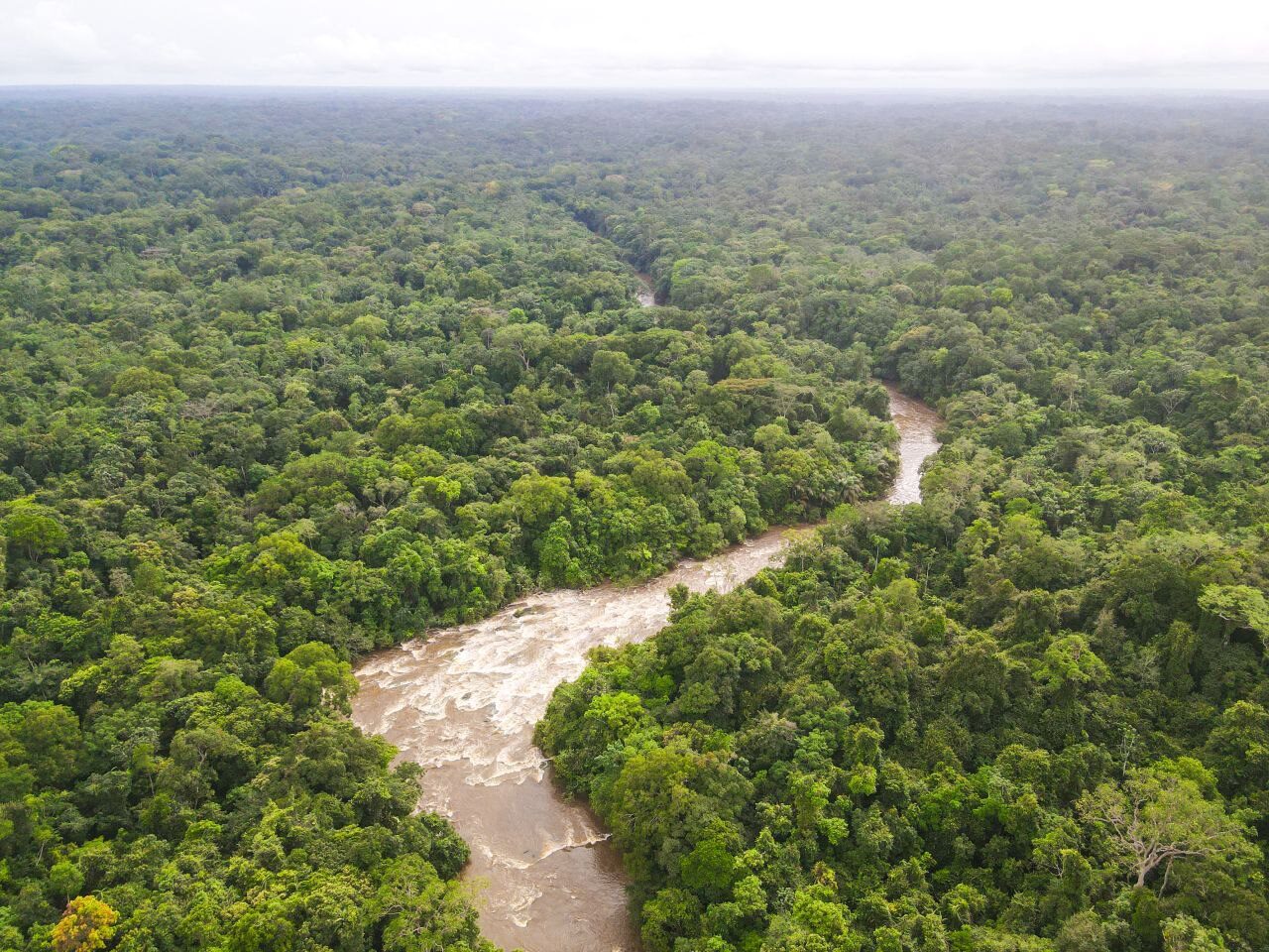 Forest River Aerial