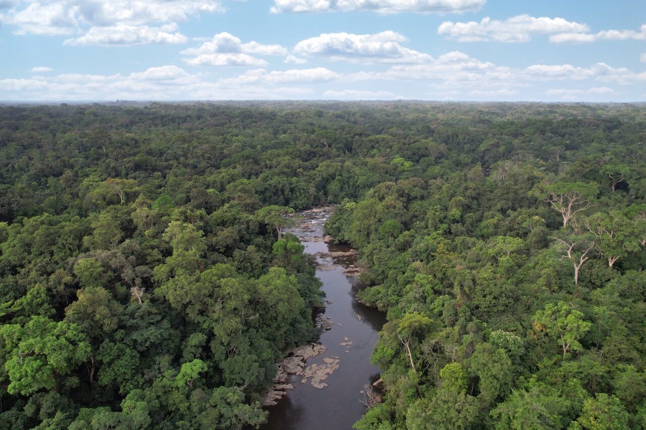Jungle River Rapids