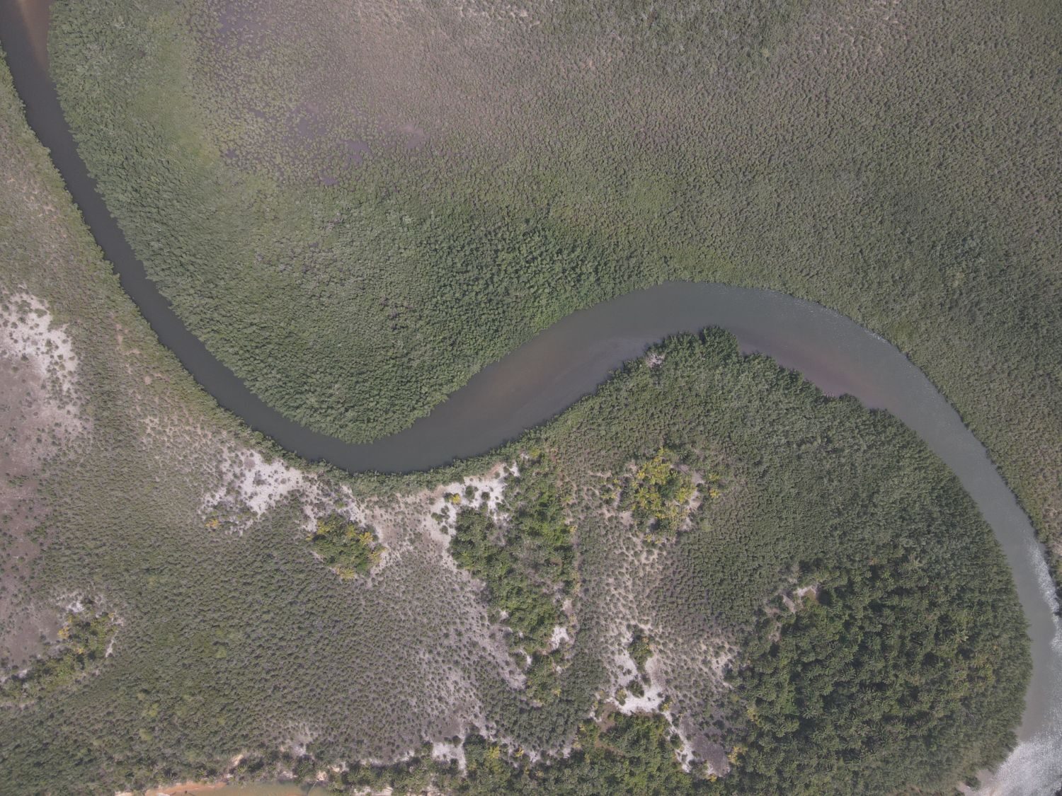 Mangrove River Aerial