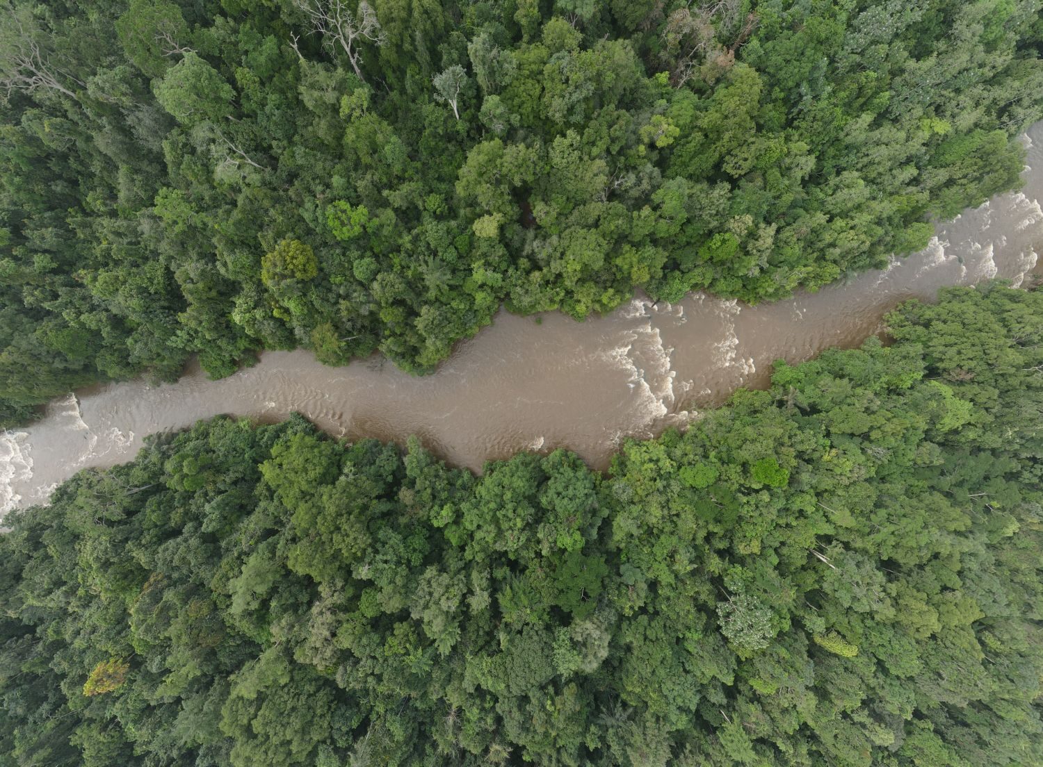 River Rapids Overhead Aerial