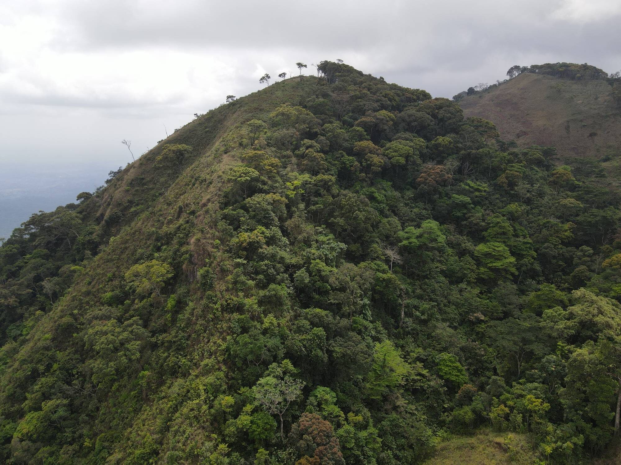 Green Mountain Peak